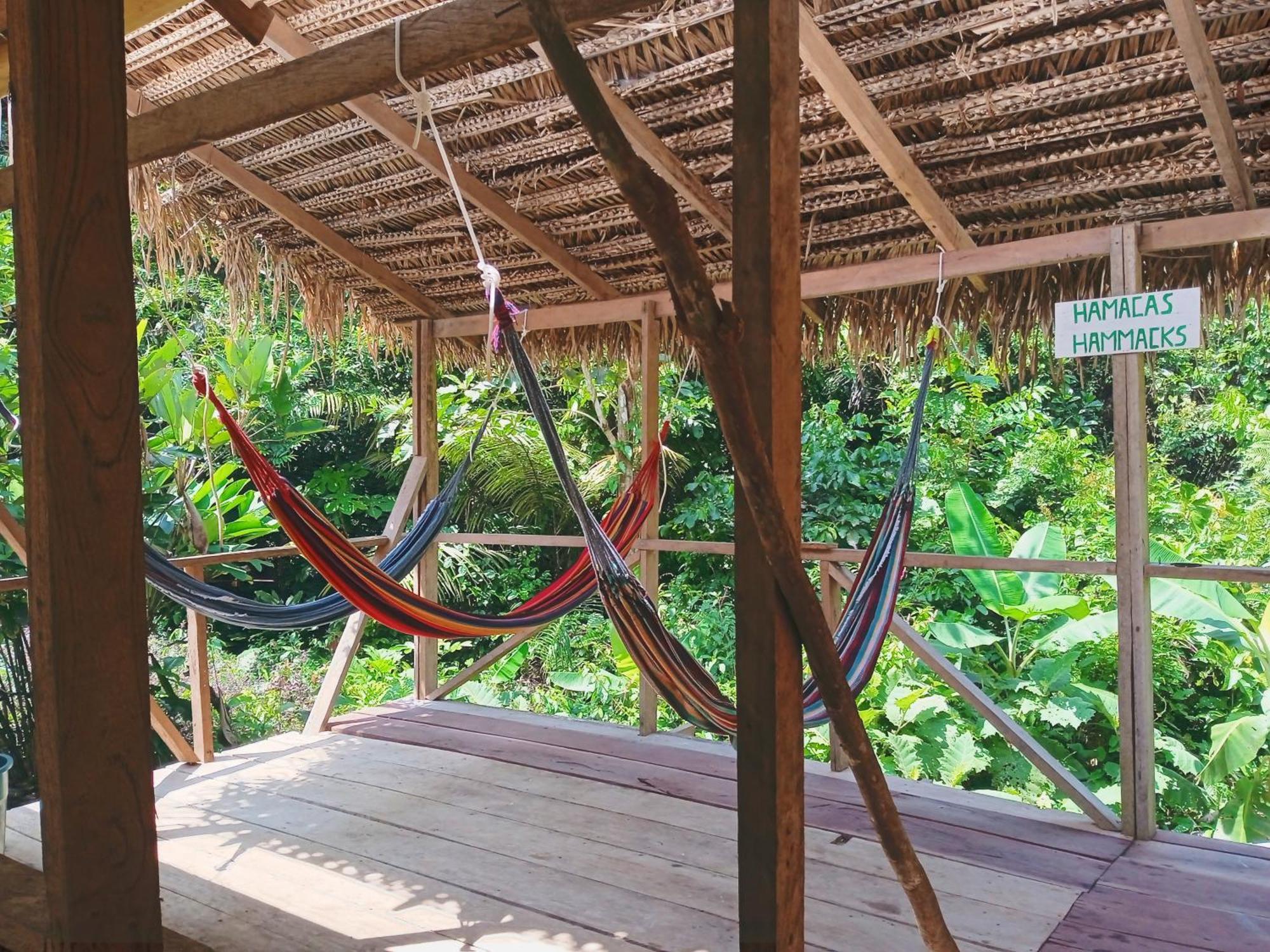 Cabanas Eco Logicas Mu'Ue Loreto Mocagua Exteriör bild