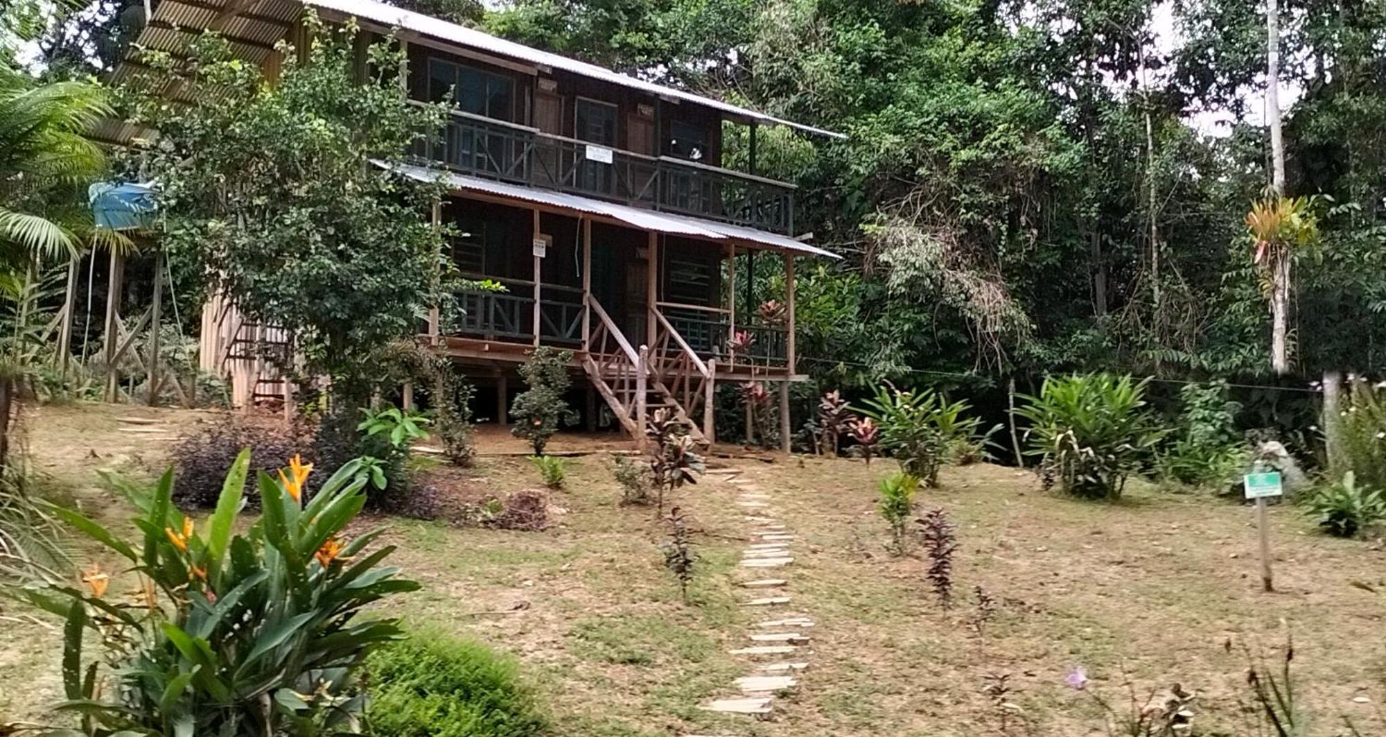 Cabanas Eco Logicas Mu'Ue Loreto Mocagua Exteriör bild